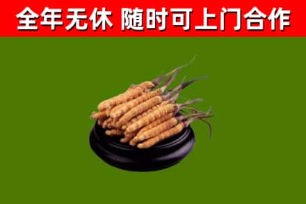碧江区烟酒回收冬虫夏草.jpg